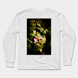 heart Long Sleeve T-Shirt